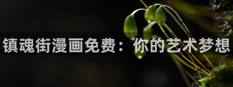 91漫画破解版下载