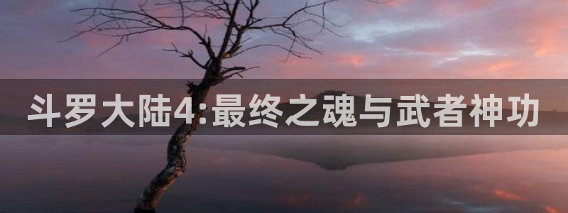 91漫画免费入口
