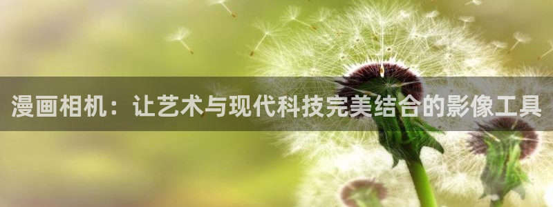91漫画网站入口免费观看